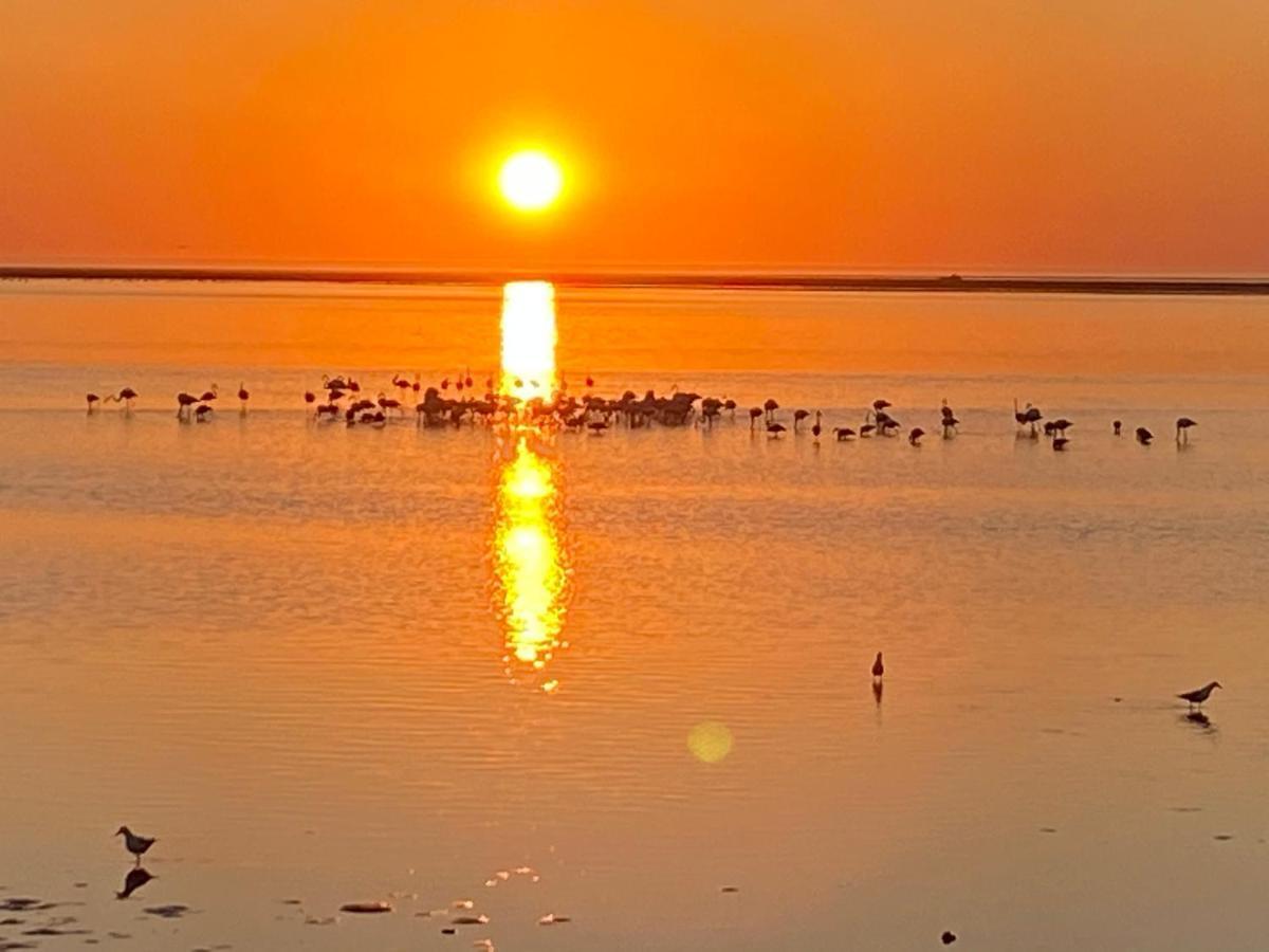 Lagoon View Self Catering Walvis Bay Exterior photo