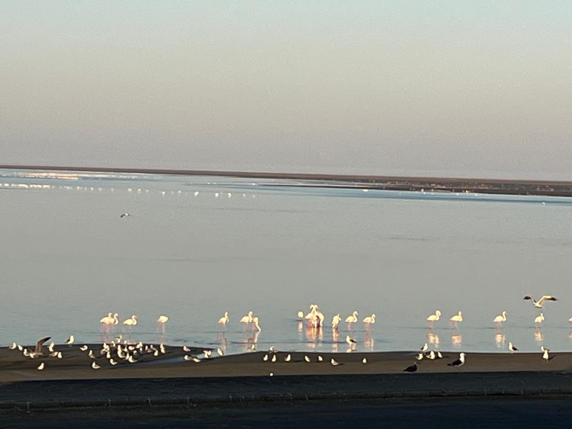 Lagoon View Self Catering Walvis Bay Exterior photo